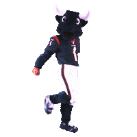 Dance Dancing Sticker by Houston Texans