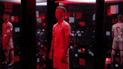 Rb Leipzig GIF by Bundesliga