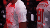 Rb Leipzig GIF by Bundesliga