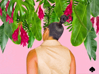 Kate Spade GIF by kate spade new york