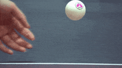 china fun GIF by ITTFWorld
