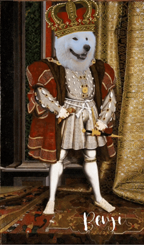 King Prince GIF