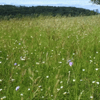 Summer Time GIF by Maria Johnsen