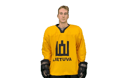 Hockeylietuva Sticker by ledoritulys.lt