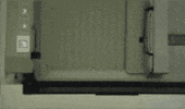 GIF by Sportsbanger