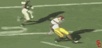 Celebrate Reggie Bush GIF by USC Trojans