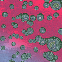 GIF by William Wolfgang Wunderbar