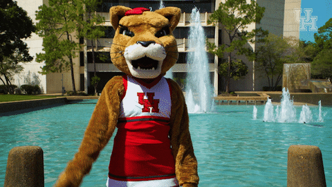 houstoncougars giphyupload houston sasha gocoogs GIF