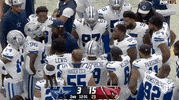 National Football League GIF by NFL