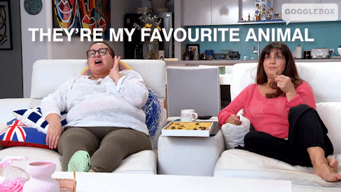 Watching Tv Anastasia GIF by Gogglebox Australia