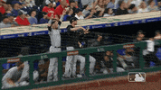 major league baseball sport GIF by MLB