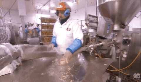 GIF by Mashable