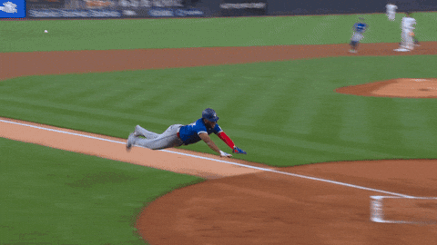 Winning Blue Jays GIF by Toronto Blue Jays