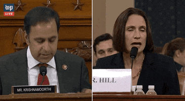 news impeachment impeachment inquiry fiona hill GIF