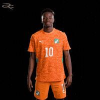 Fifa World Cup Elephants GIF by Respective