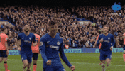 Happy Premier League GIF by MolaTV