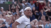Vamos Come On GIF by Wimbledon