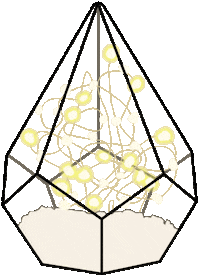 Lights Crystal Sticker by The Gypsy Studio