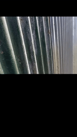 Simongip giphygifmaker GIF