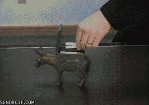 Smoke Wtf GIF by Cheezburger