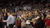 GonzagaBulldogs celebration basketball coach bench GIF