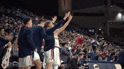 GonzagaBulldogs celebration basketball bench gonzaga GIF