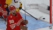Happy National Hockey League GIF by NHL