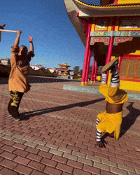 Chinese Man Laughing GIF