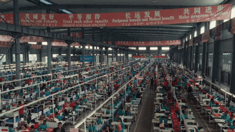 GIF by UnionDocs