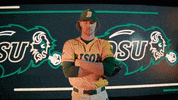 Ndsu Baseball GIF by NDSU Athletics