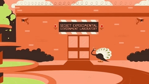 viceland GIF by MOST EXPENSIVEST