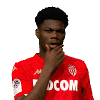 Ligue 1 Football Sticker by AS Monaco