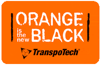 Netflix Orange GIF by TranspoTech