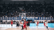 Leonessa Brescia Nba GIF by Basket Brescia Leonessa