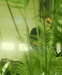 Musik Ola GIF by Sony Music Germany