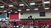 GIF by Giffffr