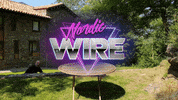 NordicWire nordicwire GIF