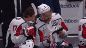 Happy Washington Capitals GIF by NHL