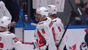 Washington Capitals Celebration GIF by NHL