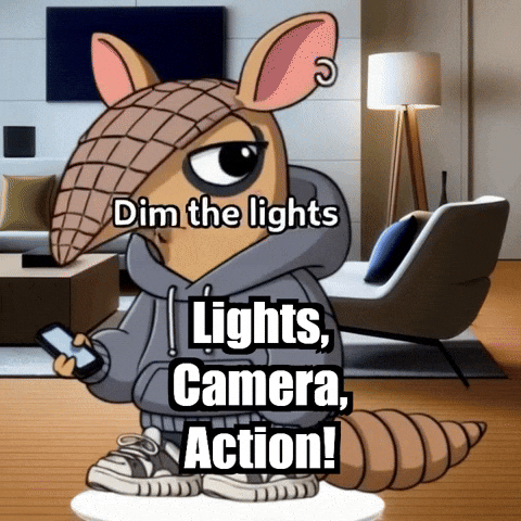 Camera Lights GIF by Chillo Dillo