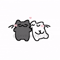 Cat Love GIF