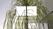 GIF by Keller Williams Beverly Hills
