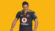 Rugby GIF by Wasps