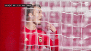 Sl Benfica Slbgif GIF by Sport Lisboa e Benfica