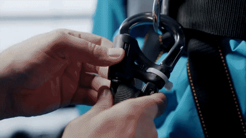 headwolfs giphyupload GIF