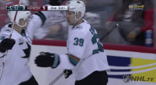 ice hockey GIF by NHL