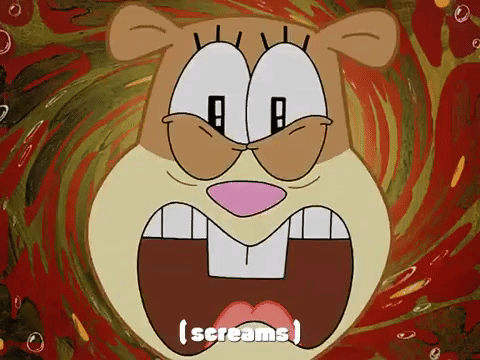 season 3 episode 20 GIF by SpongeBob SquarePants