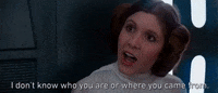 Episode 4 Princess Leah GIF by Star Wars