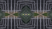 Art Film GIF by jorgemariozuleta