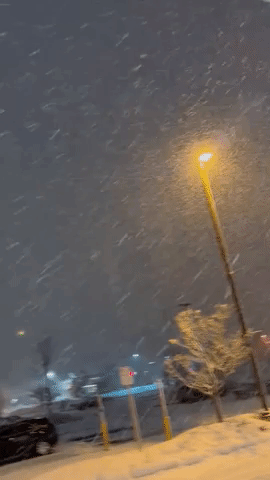 Heavy Snow Falls on Twin Cities